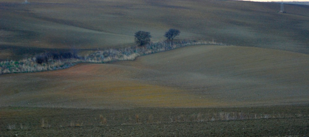 Onde di terra.