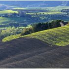 Onde marittime agricolturale nella Toscana autunnale