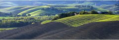 Onde marittime agricolturale nella Toscana autunnale