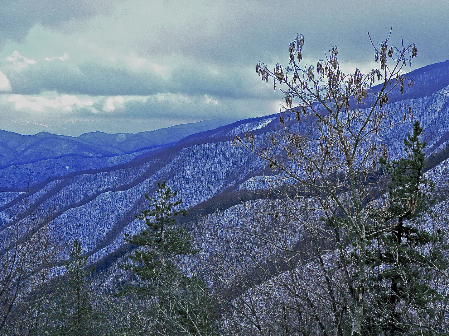 Onde montane