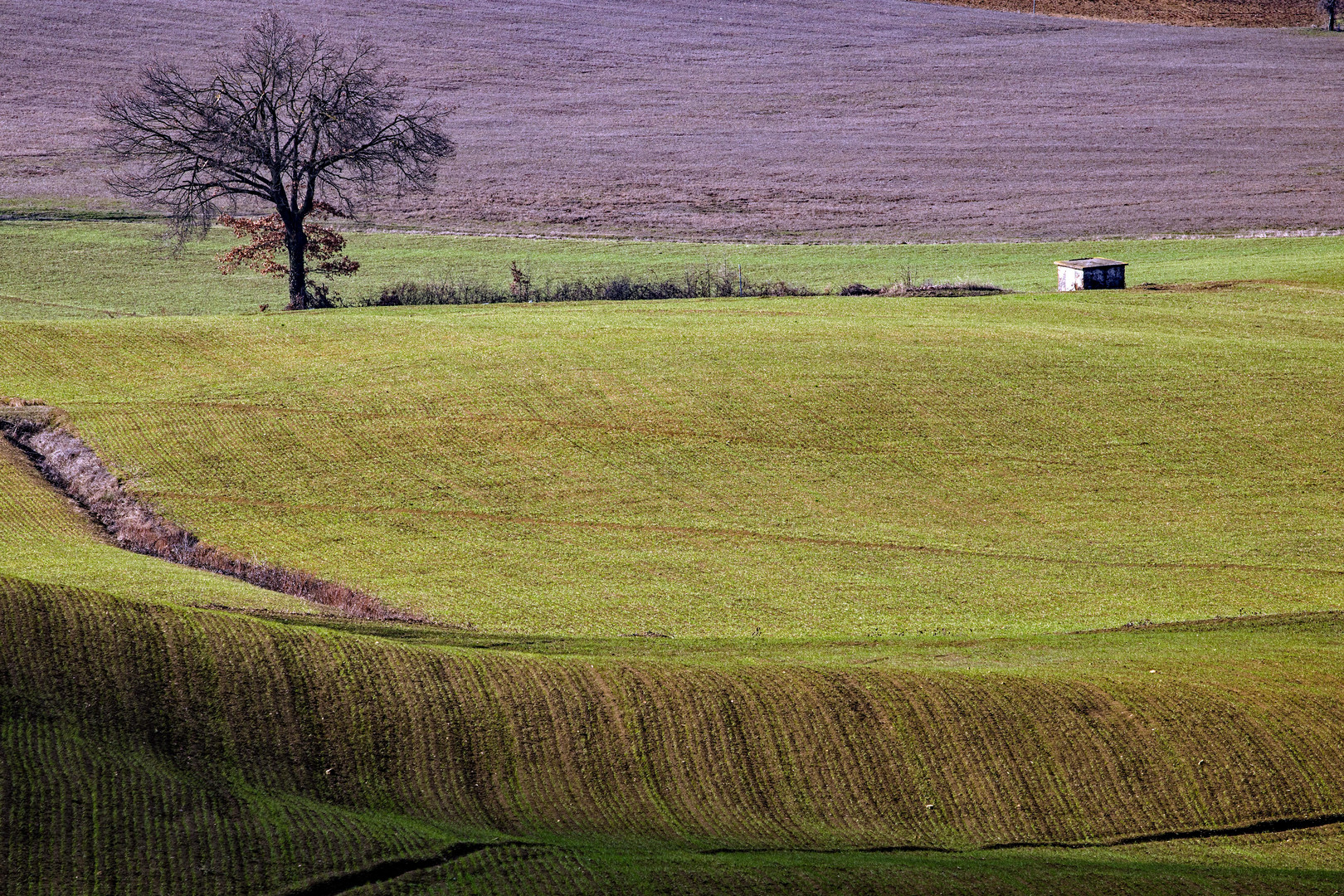 Ondulazioni