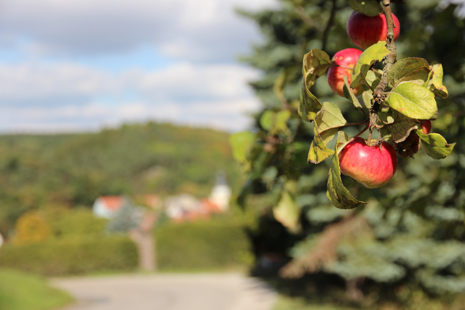 One Apple A Day Keeps The Doctor Away