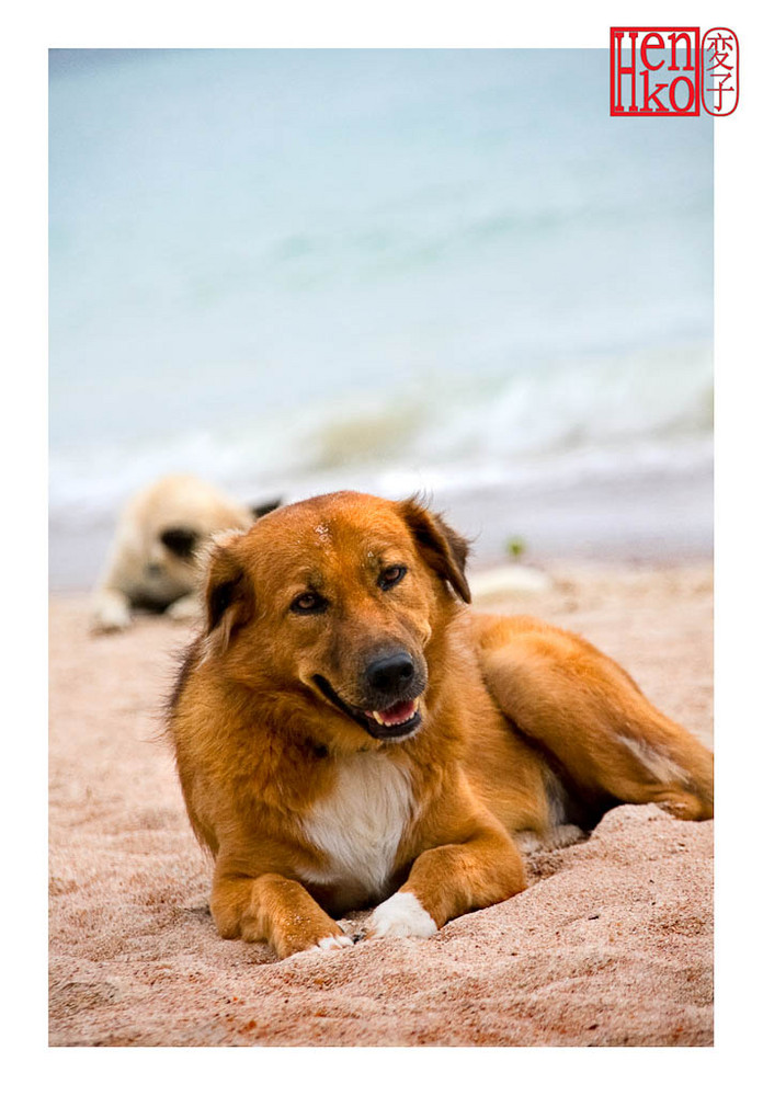 one beautiful sunny day on the beach...