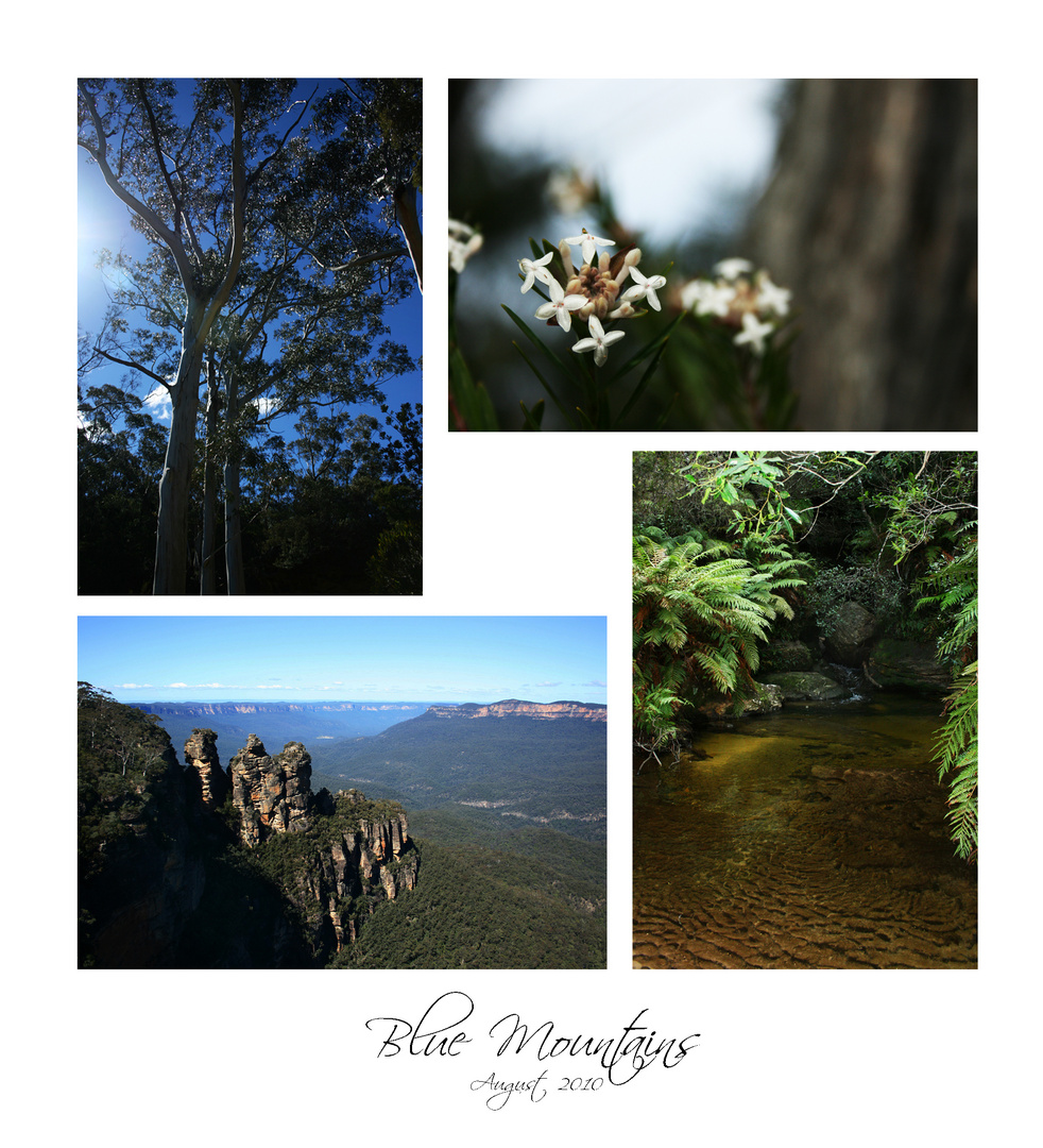 One day trip to the Blue Mountains