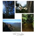 One day trip to the Blue Mountains