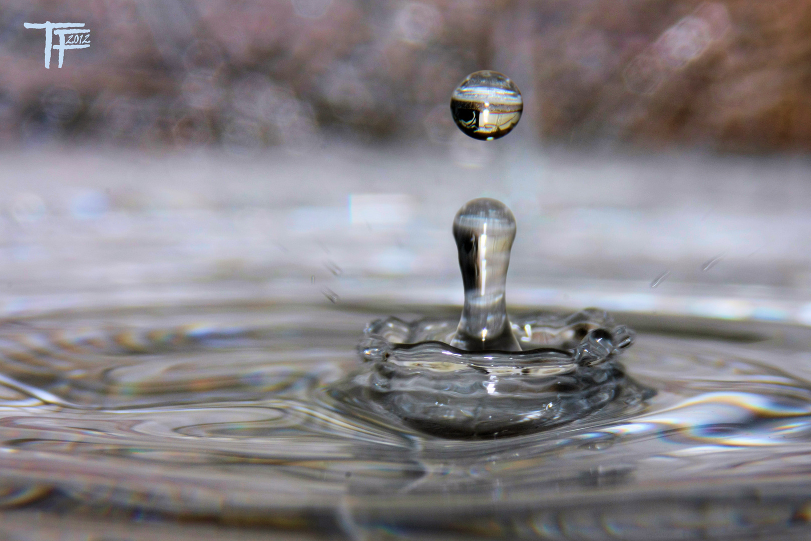 One drop only - reflecting from the liquid surface