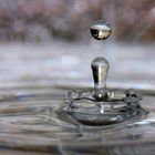 One drop only - reflecting from the liquid surface