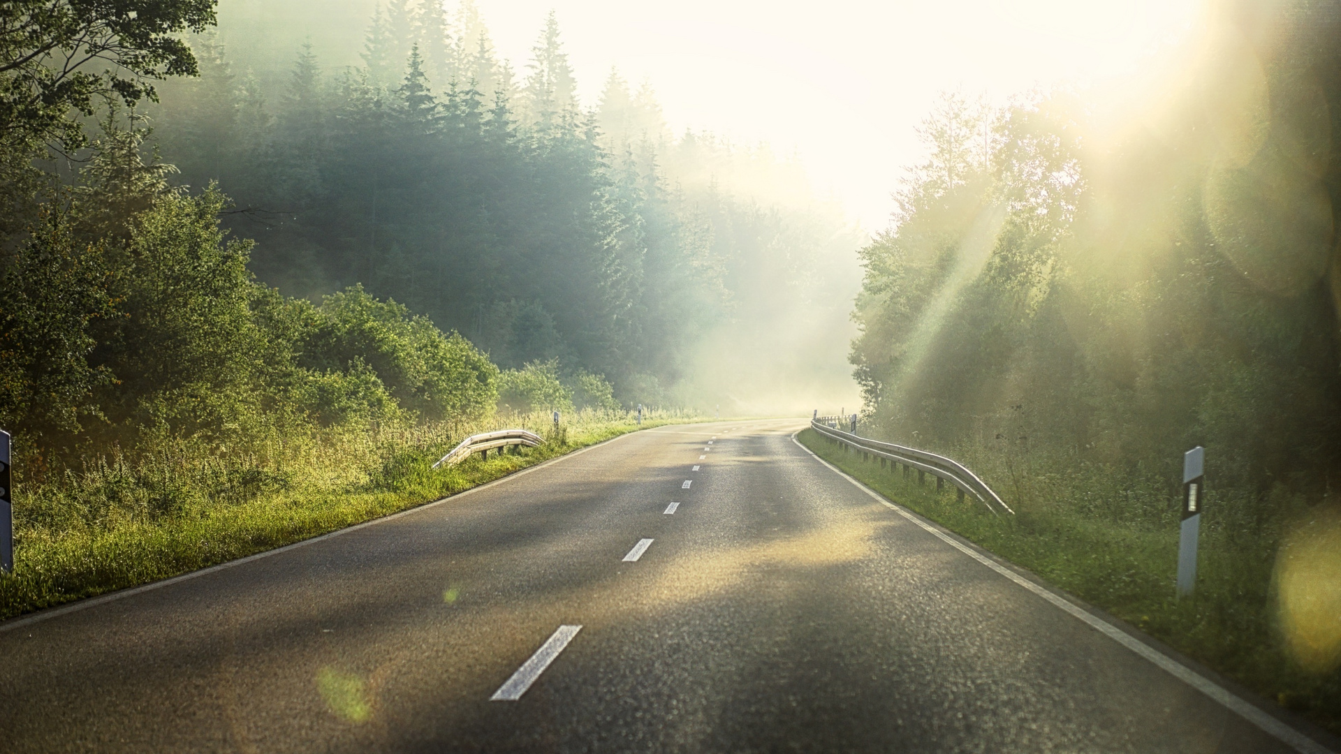 One early morning in the Black Forest