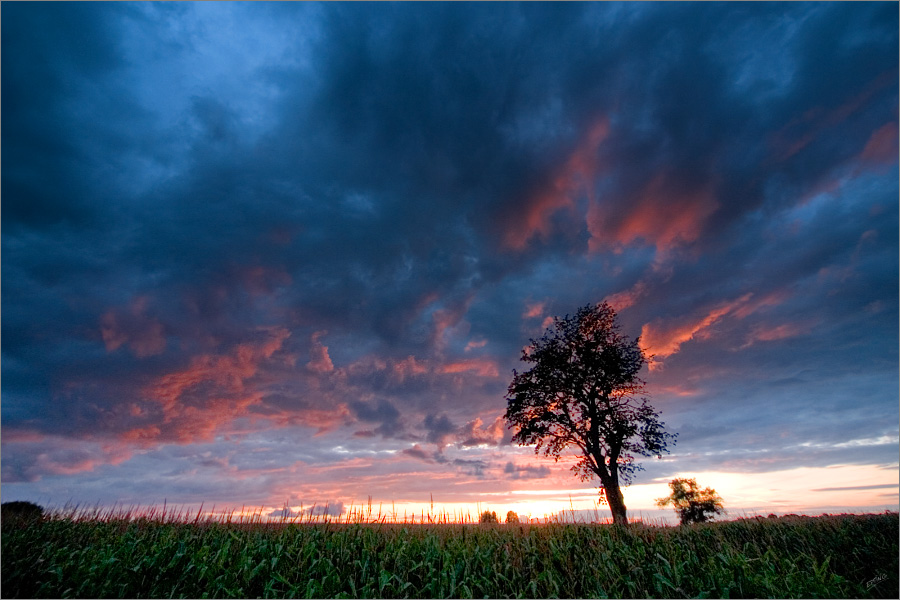 One Fair Summer Evening