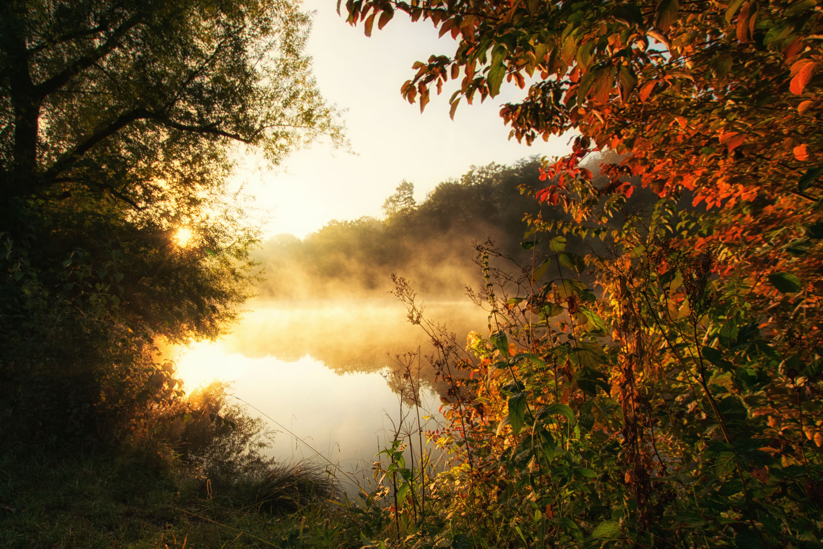 One fine autumn morning