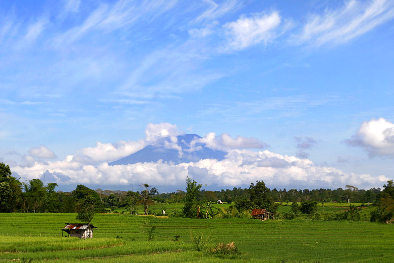 One Fine Day