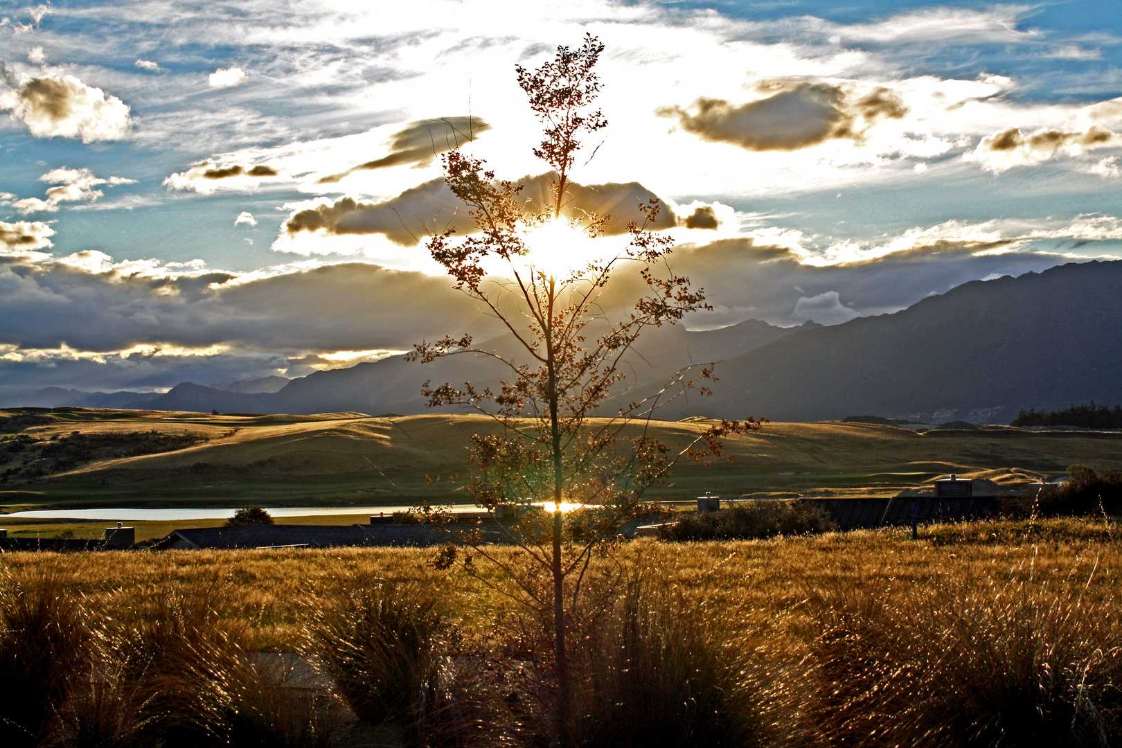 one fine day in new zealand