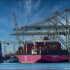 " ONE HANOI " Container Carrier, Rotterdam, Amazonenenhaven.