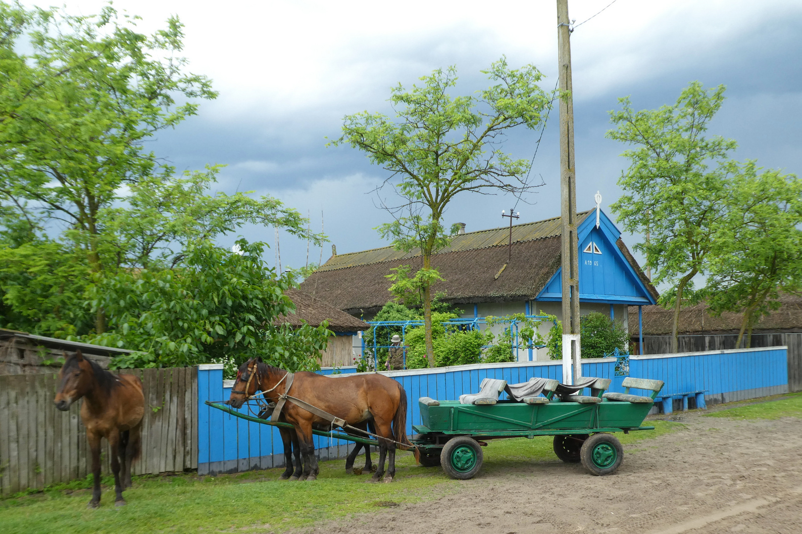 "One"-Horse-Powered Sightseeing Cart -  Pferd mit  8 Beinen