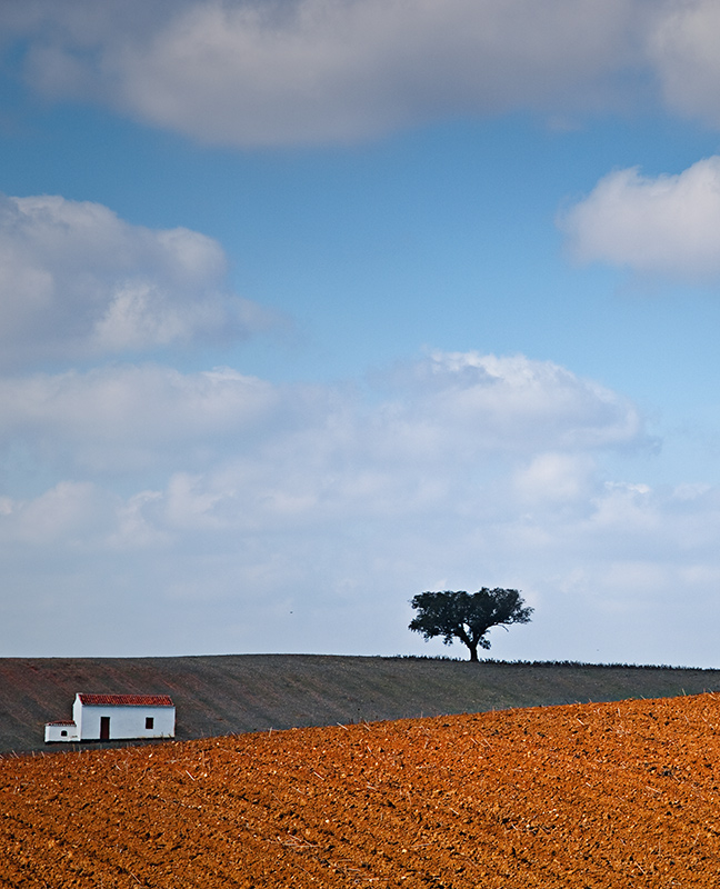 One house and one tree