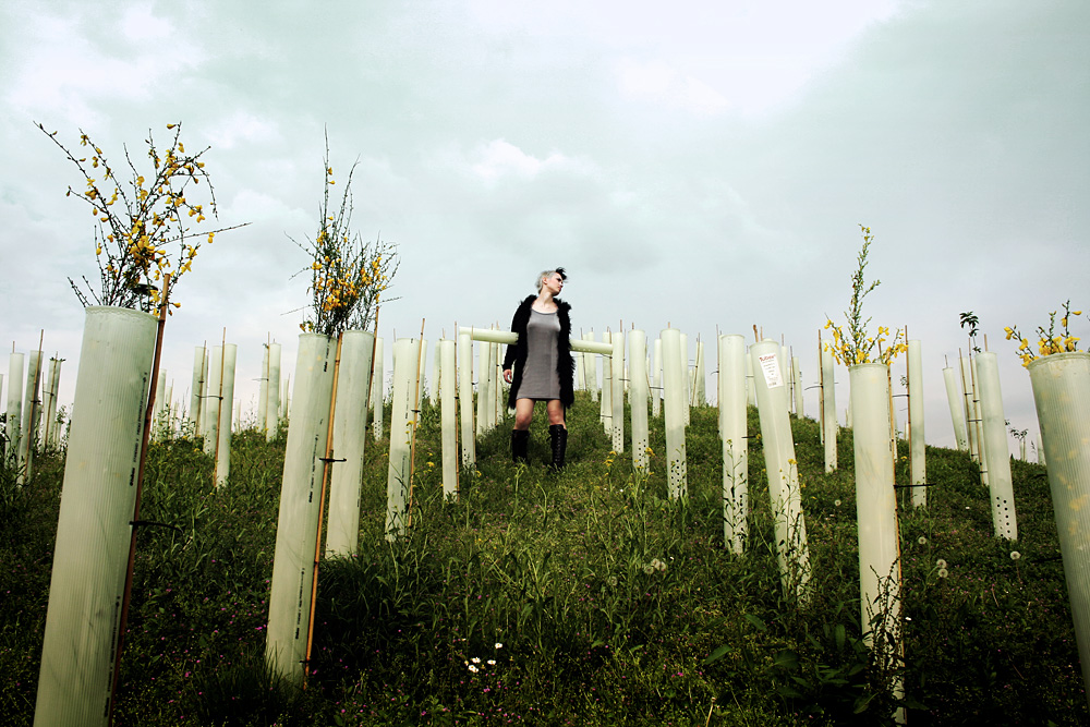 One Hundred Young Plants Growing In White Plastic Shelters Upon A Hill