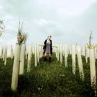 One Hundred Young Plants Growing In White Plastic Shelters Upon A Hill