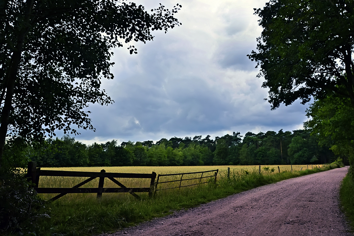 One minute before the rainshower