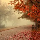 One misty autumn morning