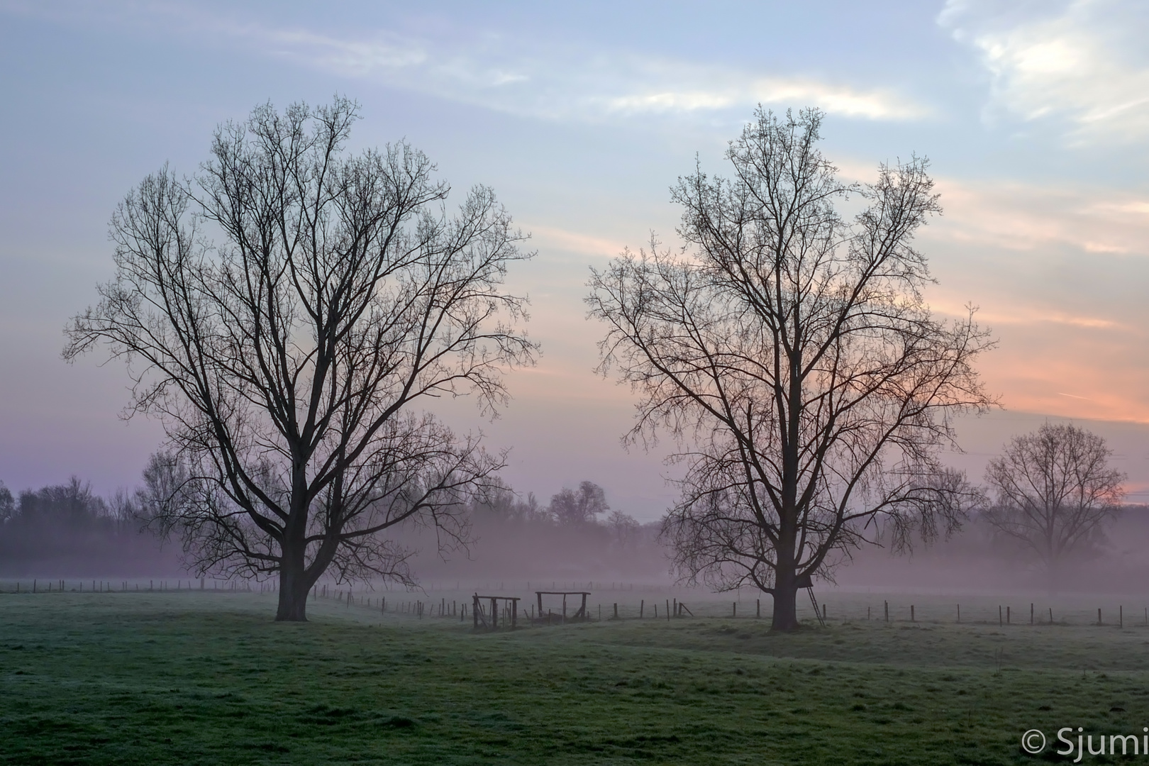 One misty morning 2