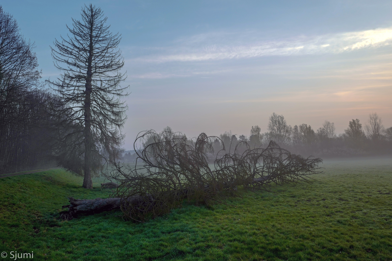 One misty morning