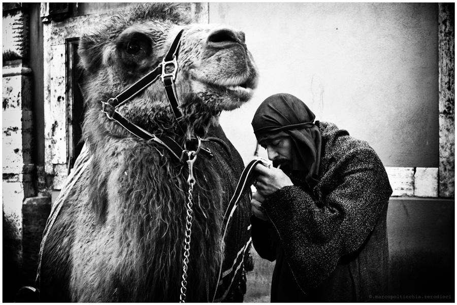 One moment please....CAMEL