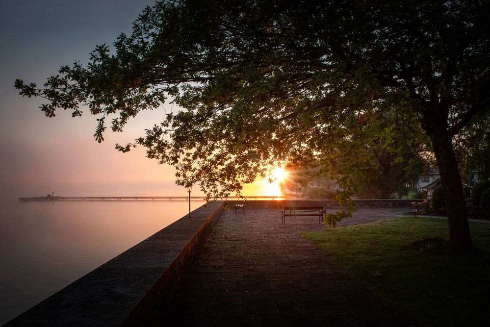 One Morning in the Park