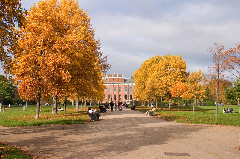 one night in... Kensington Palace