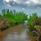 One of hundreds channels at Mekong Delta