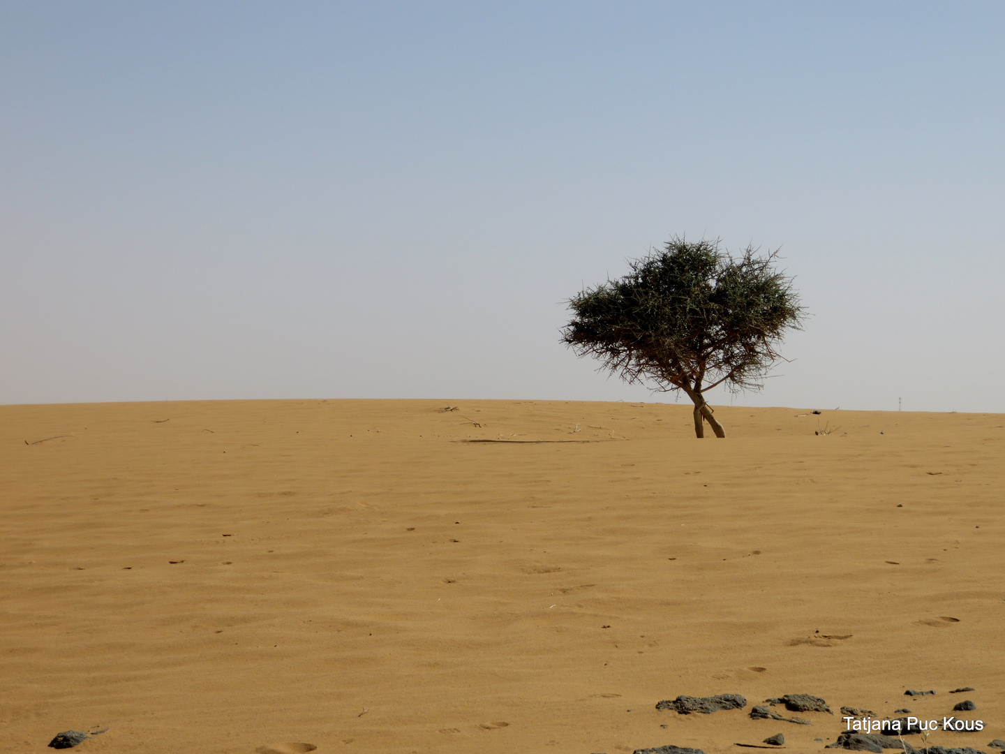 One of many faces of sudan deserts