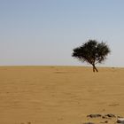 One of many faces of sudan deserts