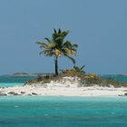 One-Palm-Tree-Island