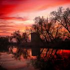 One red evening in March ....