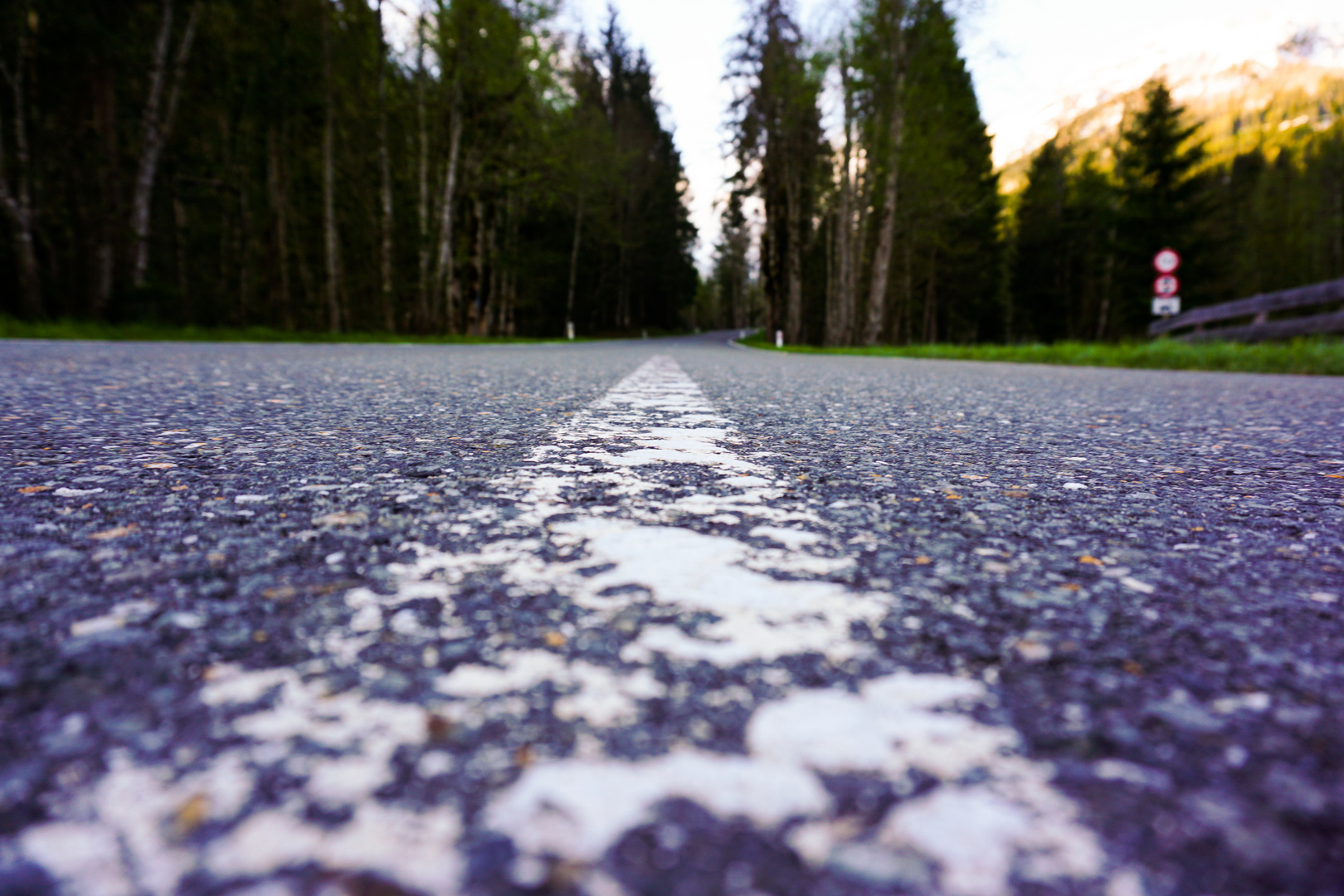 One Road in the Spring