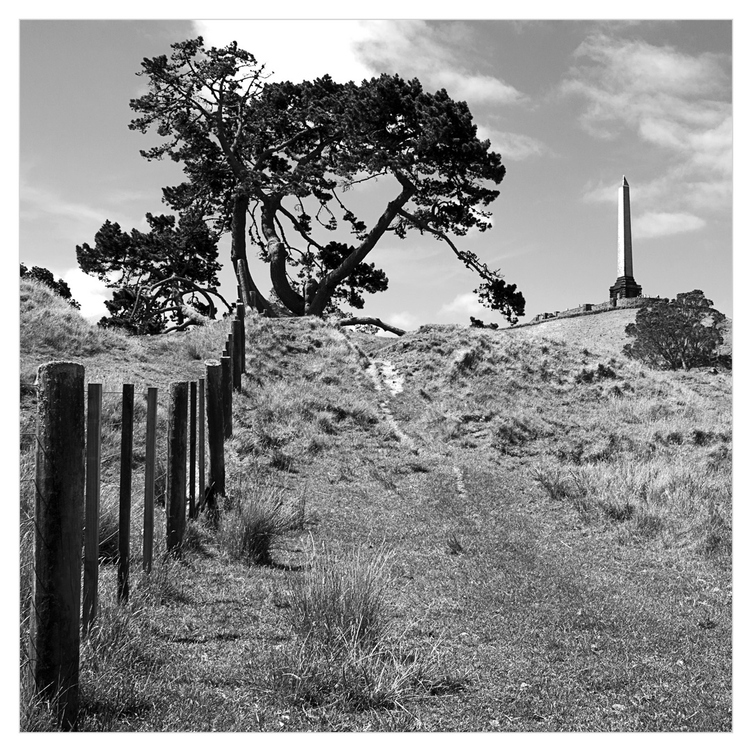 One Tree Hill - Auckland Neuseeland