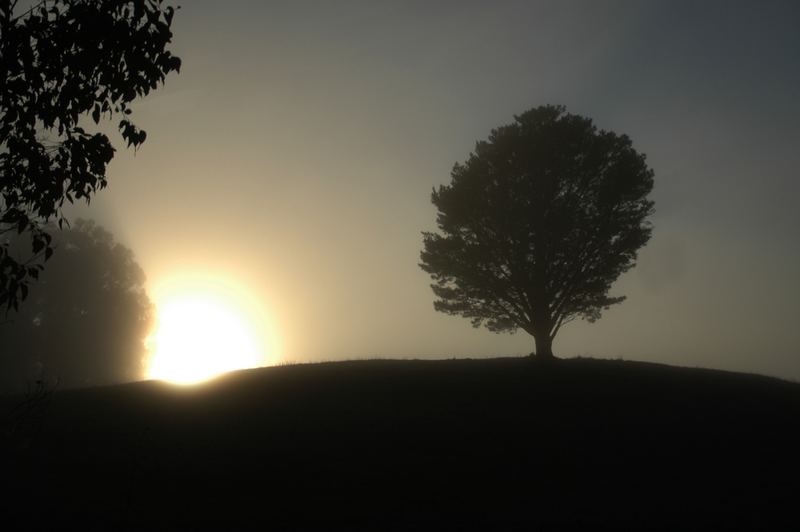 One Tree Hill @ Sunrise