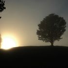 One Tree Hill @ Sunrise