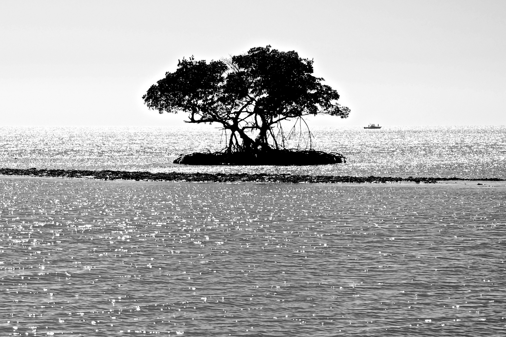 One Tree Island