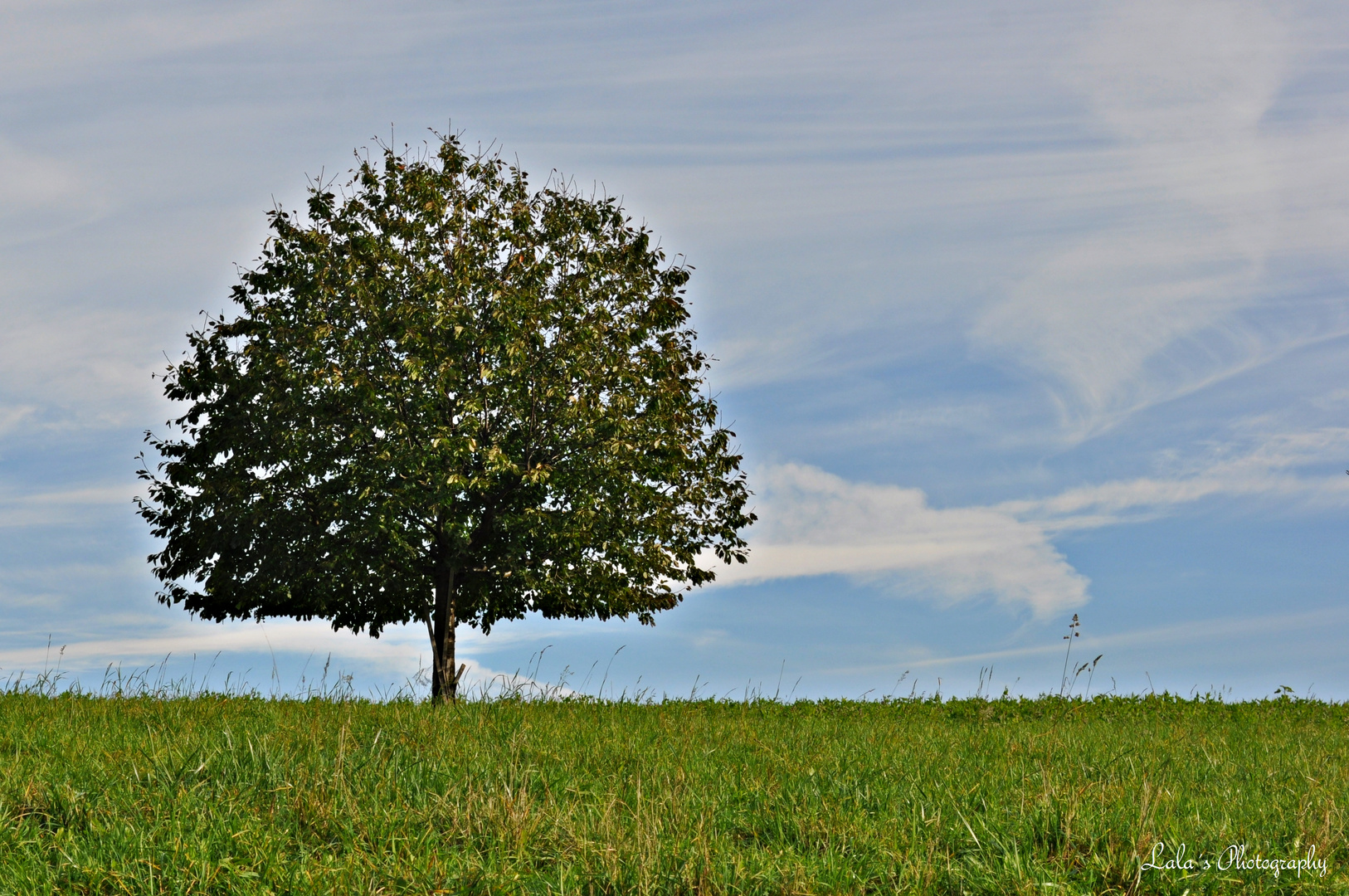 one, two, tree