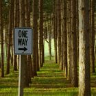 One Way