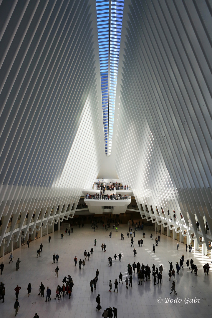 One World Trade Center durch das Dach des Oculus