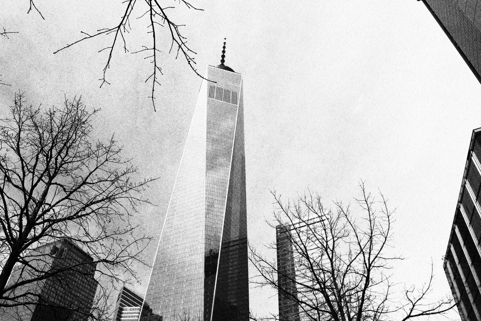 one world trade center