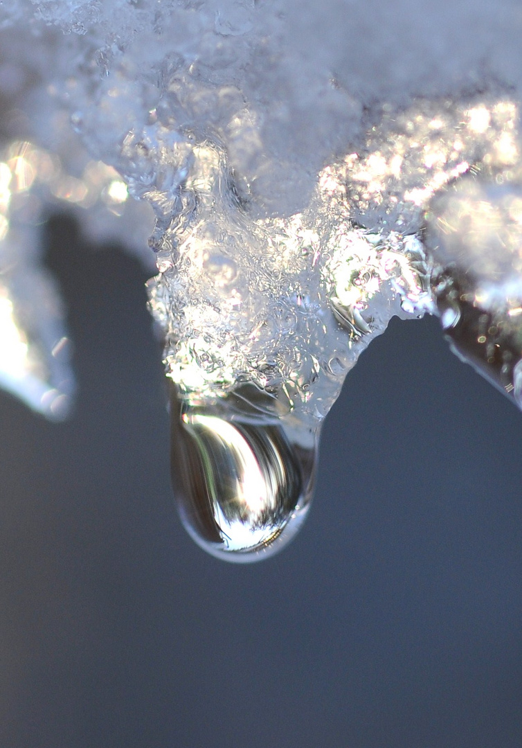 ongle de glace