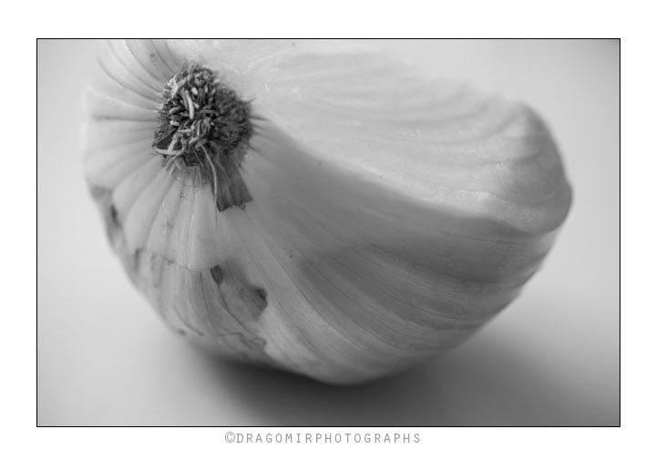 Onion 