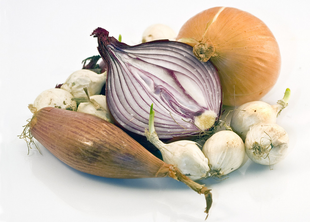 Onion still life