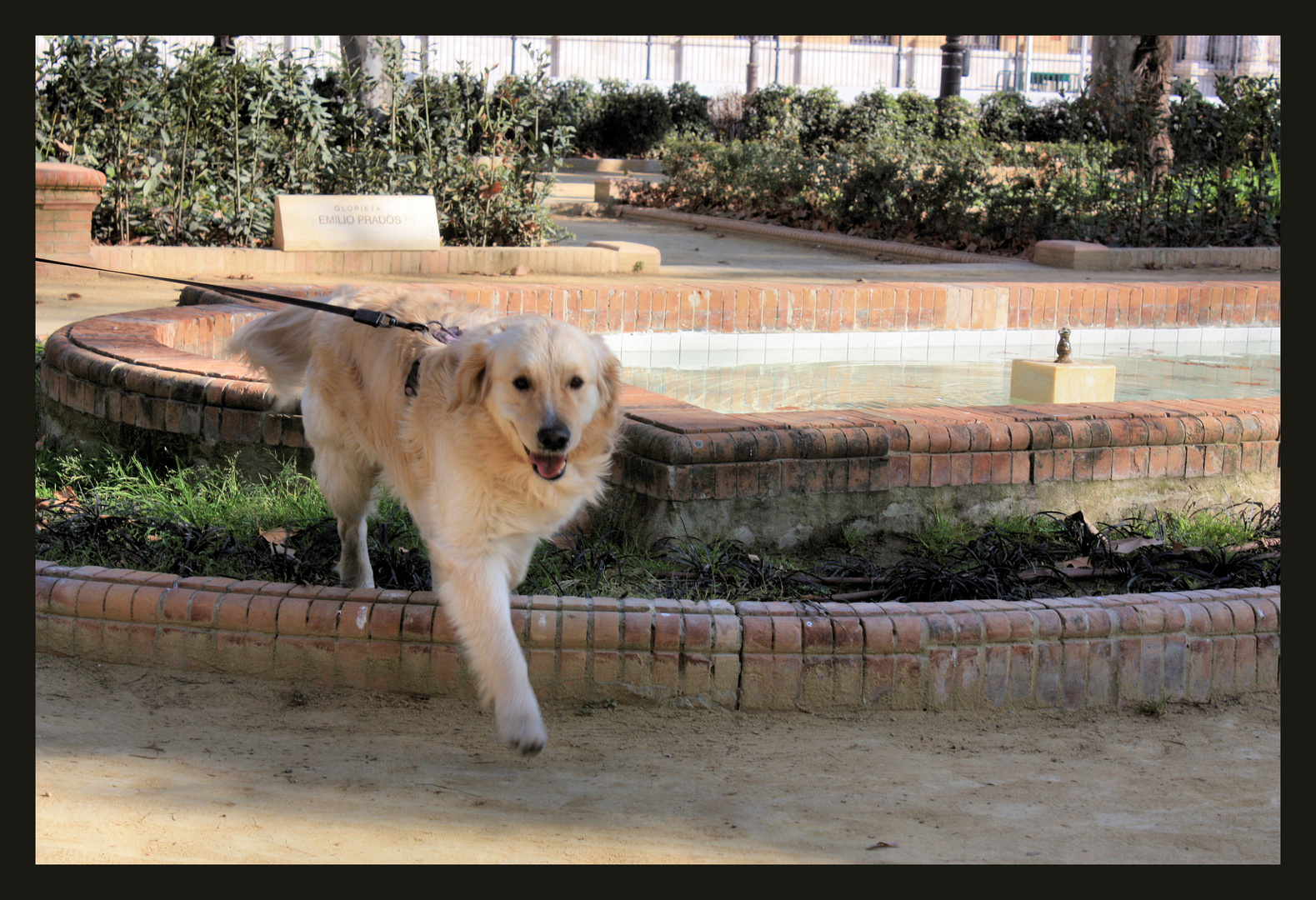 Onix en Sevilla