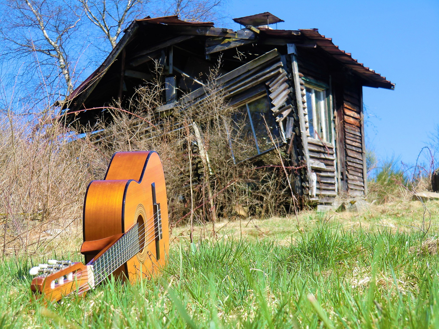 Onkel Tom´s Hütte