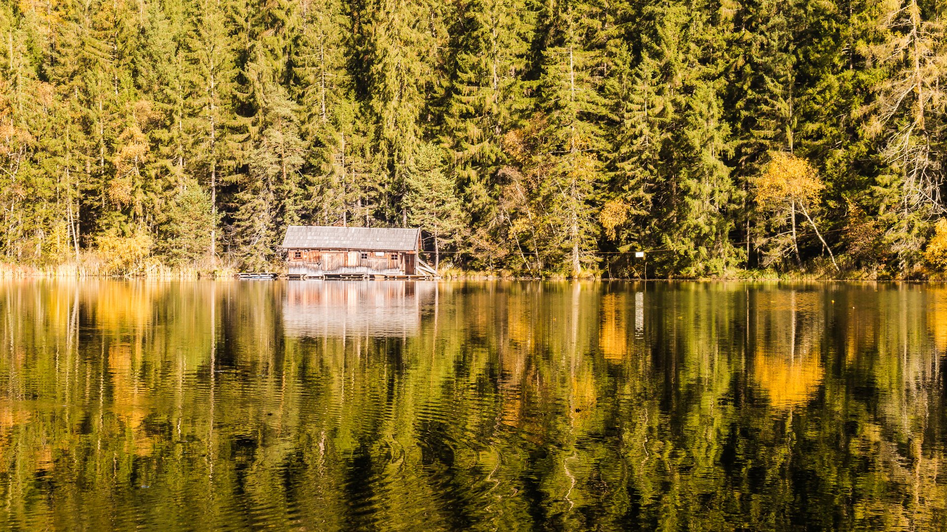 Onkel Toms Hütte