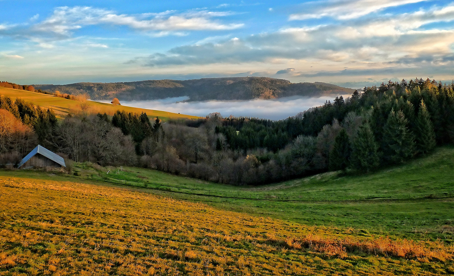 Onkel Toms Hütte