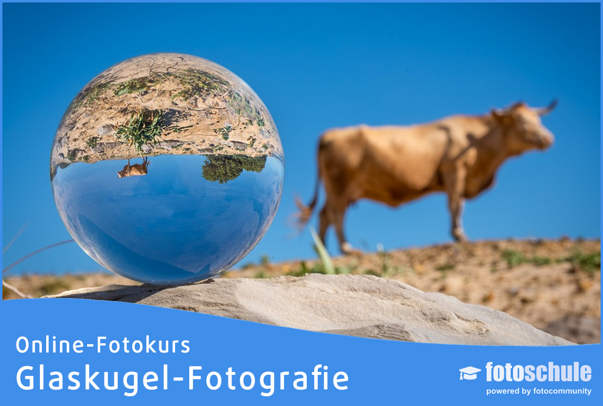 Online Fotokurs: Glaskugel-Fotografie